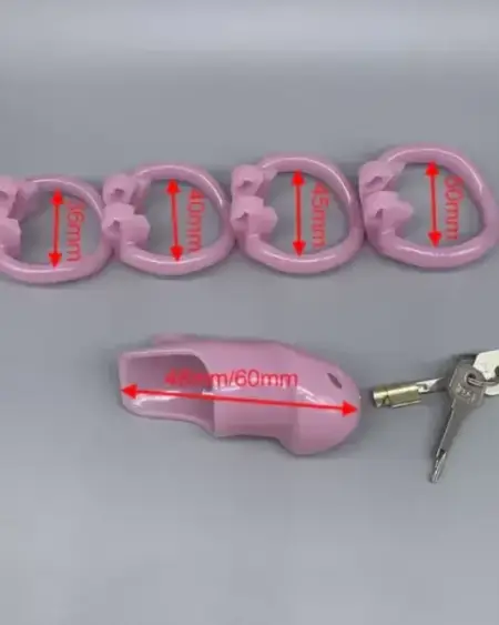 Custom Chastity Cage with 4 Active Sizes Rings